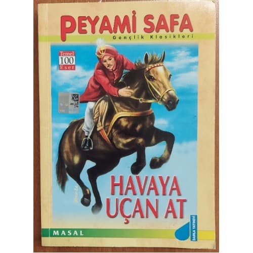 HAVAYA UÇAN AT