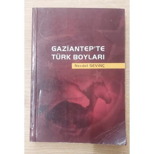 GAZİANTEP'TE TÜRK BOYLARI